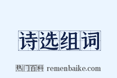 诗选组词是什么意思的图片